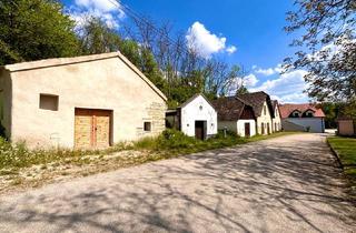Immobilie kaufen in Mühlkellergasse, 3714 Sitzendorf an der Schmida, Charmantes Presshaus mit großzügiger Kellerröhre und idyllischem Gründach in Sitzendorf an der Schmida