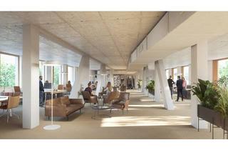 Büro zu mieten in Breitenfurter Straße, 1230 Wien, Modernste Bürofläche mit großer Terrasse