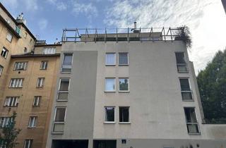 Wohnung mieten in Zeltgasse, 1080 Wien, Wunderschöne 2-Zimmer-Wohnung mit herrlicher Terrasse - in guter Lage des 8. Bezirks!