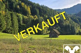 Gewerbeimmobilie kaufen in 9135 Ebriach, Grundstücke mit Zukunft – vielseitig nutzbare Wald- und Wiesenflächen in idyllischer Lage von Bad Eisenkappel