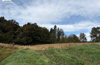 Grundstück zu kaufen in 8083 Sankt Stefan im Rosental, Ihr Bauprojekt in St. Stefan i. R. – 5 Parzellen mit Potenzial