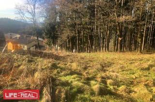 Grundstück zu kaufen in 4843 Ampflwang, Am Wald grenzendes Baugrundstück