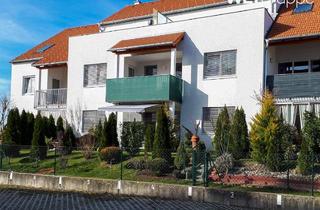 Wohnung mieten in 2061 Hadres, Geförderte 3-Zimmer Mietwohung mit Kaufoption | ca. 85 m² | Dachgeschoss | Terrasse