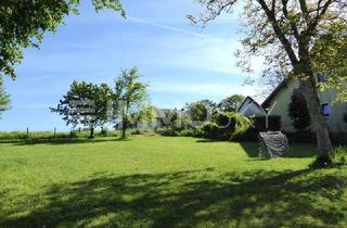 Grundstück zu kaufen in 4600 Wels, HIER FINDEN SIE LEBENSQUALITÄT - LÄNDLICH MIT STADTNÄHE!!!