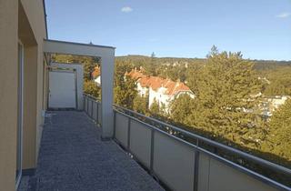 Wohnung mieten in Marchetstraße 45a, 2500 Baden, Wohnung direkt neben Doblhoffpark in Baden im 6. Stock zu vermierten