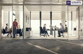 Büro zu mieten in Clemens-Holzmeister-Straße, 1100 Wien, GANZ GROSSE KLASSE! Top ausgestattetes und neuwertiges Büro/Praxis in zentraler TOP Lage im zehnten Bezirk in Wien!