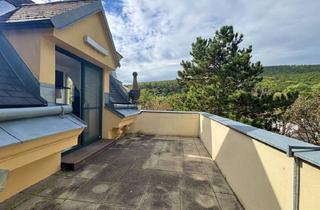 Wohnung kaufen in 2500 Baden, Historische charmante Altbau-Villa mit 3 DG-Einheiten inkl. Dachterrassen I 2012 Generalsanierung inkl. Lift I Grünlage