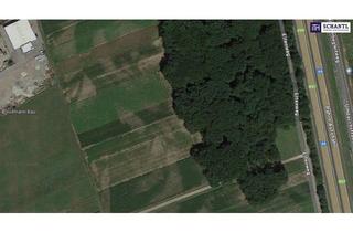 Grundstück zu kaufen in Elfenweg, 8430 Leibnitz, REALISIEREN SIE IHR PROJEKT - ca. 1h großes GEWERBEGRUNDSTÜCK 0,3 - 2,0 Dichte mit direkter Nähe zur Autobahn und zur Eisenbahn! Alternativen in der Umgebung auch verfügbar!