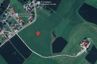 Gewerbeimmobilie kaufen in 4421 Aschach an der Steyr, Landwirtschaftsgrund neben Siedlungsgebiet! Derzeit biobewirtschaftet!