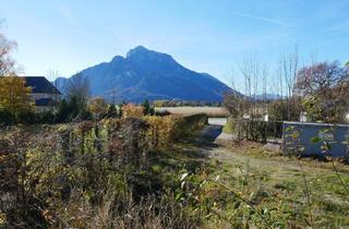 Grundstück zu kaufen in 5081 Anif, Royal Living! Baugrundstück in einzigartiger Lage am Schloss Hellbrunn