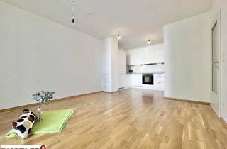 Wohnung kaufen in 2514 Traiskirchen, 2 Zimmer mit Sonnenbalkon