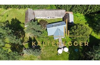 Haus kaufen in 3874 Litschau, Wohnen am Nordkap Österreichs – Ein Vierseithof der Stille, der Schönheit und der Ursprünglichkeit