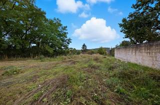 Grundstück zu kaufen in 3701 Großweikersdorf, Attraktives Baugrundstück in naturnaher Lage – ca. 2.859 m² in Großweikersdorf!
