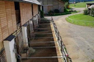 Lager mieten in 8732 Seckau, Reiterhof Gut Rosenhof