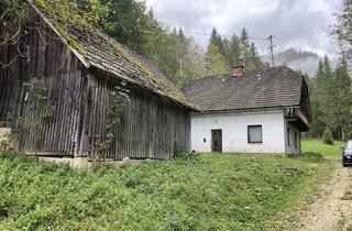 Gewerbeimmobilie kaufen in 9135 Ebriach, Kleinlandwirtschaft in idyllischer Alleinlage nahe Eisenkappel