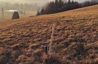 Gewerbeimmobilie kaufen in 8162 Passail, Sonniges Baugrundstück im steirischen Almenland nahe dem Golfplatz!