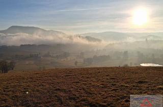 Gewerbeimmobilie kaufen in 8162 Passail, Wiesengrund: Möglichkeit für landwirtschaftlich nötige Gebäude (+ angrenzender Baugrund optional)!