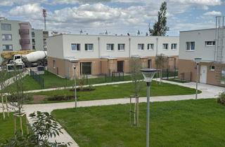 Haus mieten in Elisabeth Bollenberger-Gasse 7 und 11-17, 2700 Wiener Neustadt, Doppelhaushälfte mit Terrasse und Garten, Top 11A