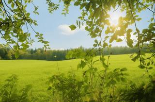 Grundstück zu kaufen in 5225 Jeging, Naturliebhaber aufgepasst: 3 Baugrundstücke in Ruhelage