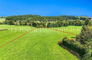 Grundstück zu kaufen in 8510 Pichling bei Stainz, *** PICHLING BEI STAINZ - GROSSZÜGIGES GRUNDSTÜCK IN RUHELAGE - 10096 M² GESAMTFLÄCHE ***