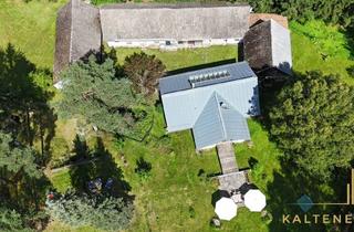 Haus kaufen in 3874 Haugschlag, Wohnen am Nordkap Österreichs - Ein Vierseithof der Stille, der Schönheit und der Ursprünglichkeit