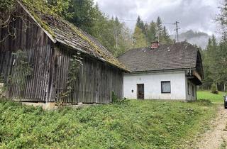 Immobilie kaufen in 9135 Ebriach, Kleinlandwirtschaft in idyllischer Alleinlage nahe Eisenkappel