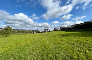 Grundstück zu kaufen in 5251 Höhnhart, FAMILIENHIT IN SONNIGER LAGE