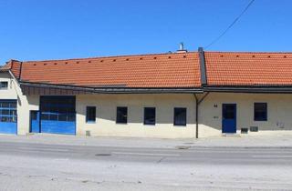 Lager mieten in 3034 Unter-Oberndorf, GROSSZÜGIGES FIRMENGELÄNDE MIT HALLEN, LAGER, BÜRO & AUSSENFLÄCHE