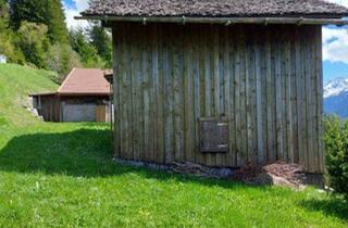 Grundstück zu kaufen in 9999 Sankt Gallenkirch, Liegenschaftsverkauf in St. Gallenkirch