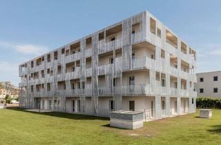 Wohnung mieten in Rotes Kreuz-Gasse 4, 2500 Baden, BADEN V/1 - Junges Wohnen, "Junges Wohnen" - geförderte Mietwohnung, Wohnung EG Top 04, 1000/00011591/00001104
