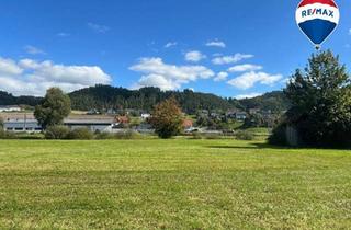 Grundstück zu kaufen in 4292 Freidorf, Baugrundstück in Kefermarkt - zu kaufen!