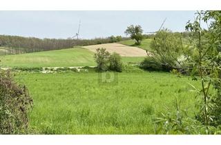 Grundstück zu kaufen in 7032 Sigleß, FÜR OUTDOOR-ENTHUSIASTEN AUSSERHALB DES SIEDLUNGSBEREICHES