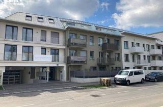 Wohnung mieten in 2340 Mödling, 2340 Mödling - neuwertige 2 Zimmer Mietwohnung