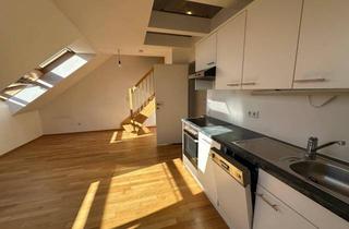 Wohnung mieten in Nibelungengasse 40/11, 8010 Graz, Schöne Dachgeschosswohnung im Herz-Jesu-Viertel zu vermieten