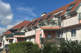 Wohnung mieten in 2333 Leopoldsdorf, Charmante 3-Zimmer-Wohnung am südlichen Wiener Stadtrand !