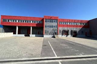Büro zu mieten in Cargo Nord Ring 10-12, 1300 Mannswörth, Airport Logistik Center Nord 1 | teilbar ab ca. 1.000 m²