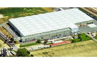 Gewerbeimmobilie mieten in Wiener Straße 152, 2104 Spillern, Hochwertiges Logistikobjekt im Norden von Wien-Spillern