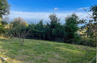 Grundstück zu kaufen in Hochfeldweg, 8010 Graz, Traumgrundstück für ein Einfamiliehaus auf der Ries