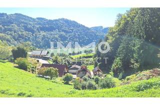 Grundstück zu kaufen in Neben Haus, 4381 Sankt Nikola an der Donau, Baugrund 1.177 m² mit Donaublick - Südhang - mit angrenzenden kleinen Grünland 255 m² - St. Nikola