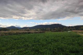 Grundstück zu kaufen in 9020 Klagenfurt, Sonniges, ebenes Baugrundstück in Hörtendorf 112/18 ohne Bebauungsverpflichtung