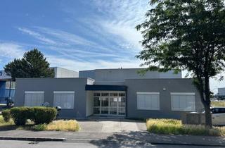 Lager mieten in Neudorferstraße 108, 2353 Guntramsdorf, Betriebsstandort - smart kombinierte Büro- und Lagerflächen im Süden von Wien