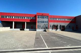 Lager mieten in Cargo Nord Ring 10-12, 1300 Mannswörth, Airport Logistik Center Nord 1 | Teilbar ab Ca. 1.000 m²
