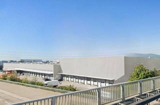 Lager mieten in Iz-Nö-Süd Straße, 2351 Wiener Neudorf, Logistikzentrum im IZ-NÖ-Süd, Wiener Neudorf bis zu 20.000m²