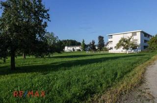 Grundstück zu kaufen in Rauhholzstraße, 6971 Hard, Traumhaftes sonniges Grundstück in Seenähe