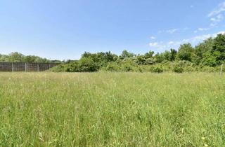 Grundstück zu kaufen in 4522 Sierning, Aufgeschlossenes 1.998 m² Baugrundstück in entspannter Siedlungslage!