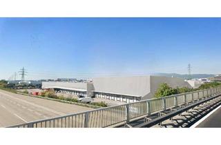 Büro zu mieten in Iz-Nö-Süd Straße, 2351 Wiener Neudorf, Logistikzentrum im IZ-NÖ-Süd, Wiener Neudorf anmietbar ab 6.000 m²
