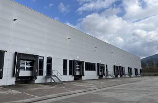 Gewerbeimmobilie mieten in Gewerbestraße, 4882 Oberwang, Neuwertige Logistikfläche - an der A1