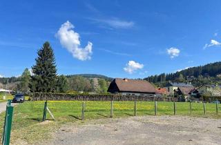 Grundstück zu kaufen in 8820 Neumarkt in Steiermark, Baugrund in Grünlage mit sonnigen Ausblick