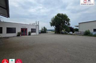Immobilie mieten in 3425 Langenlebarn-Oberaigen, ALL INCLUSIVE MIETE++Lagerhalle ++ Werkstatt mit diversen Möglichkeiten! ab 50m2 bis 300m+ Autoabstellplätze + Mitbenutzung von Gabelstapler & Kran