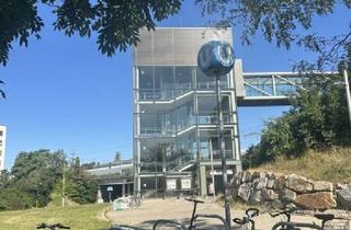 Wohnung mieten in 1100 Wien, 120 Meter zur U1 Oberlaa- Sonnige, barrierefreie südseitige Wohnung- inkl. Küche